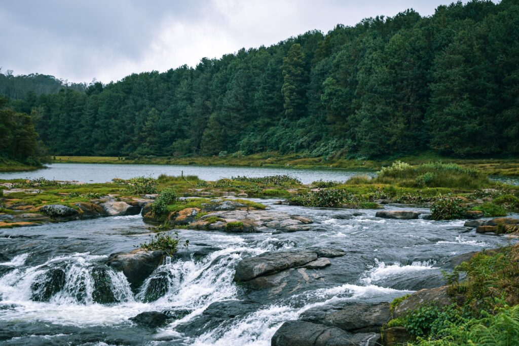 Scenic weekend trips from Bangalore featuring lush green hills, waterfalls, winding roads, and popular getaway destinations for travelers and nature lovers